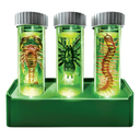 4M Kidzlabs Glow Critter Lab