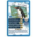 Top Trumps Penguins_2