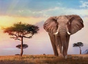 Clementoni African Sunset Jigsaw Puzzle 500 Pieces_1