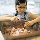 4M Dig a Dinosaur Skeleton Stegosaurus Kit