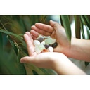 4M Kidzlabs Crystal Mining Kit