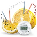 4M Lemon Clock Mini Science Experiment