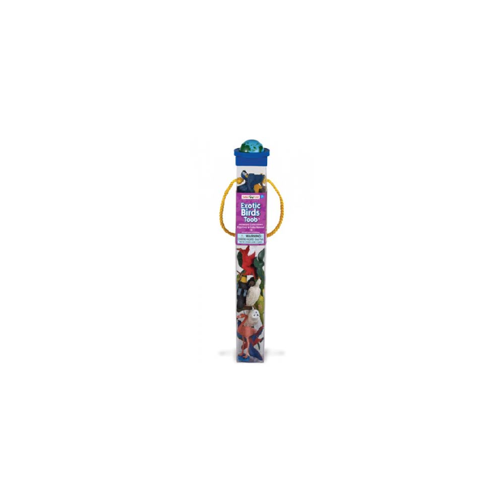 680404 Exotic Birds