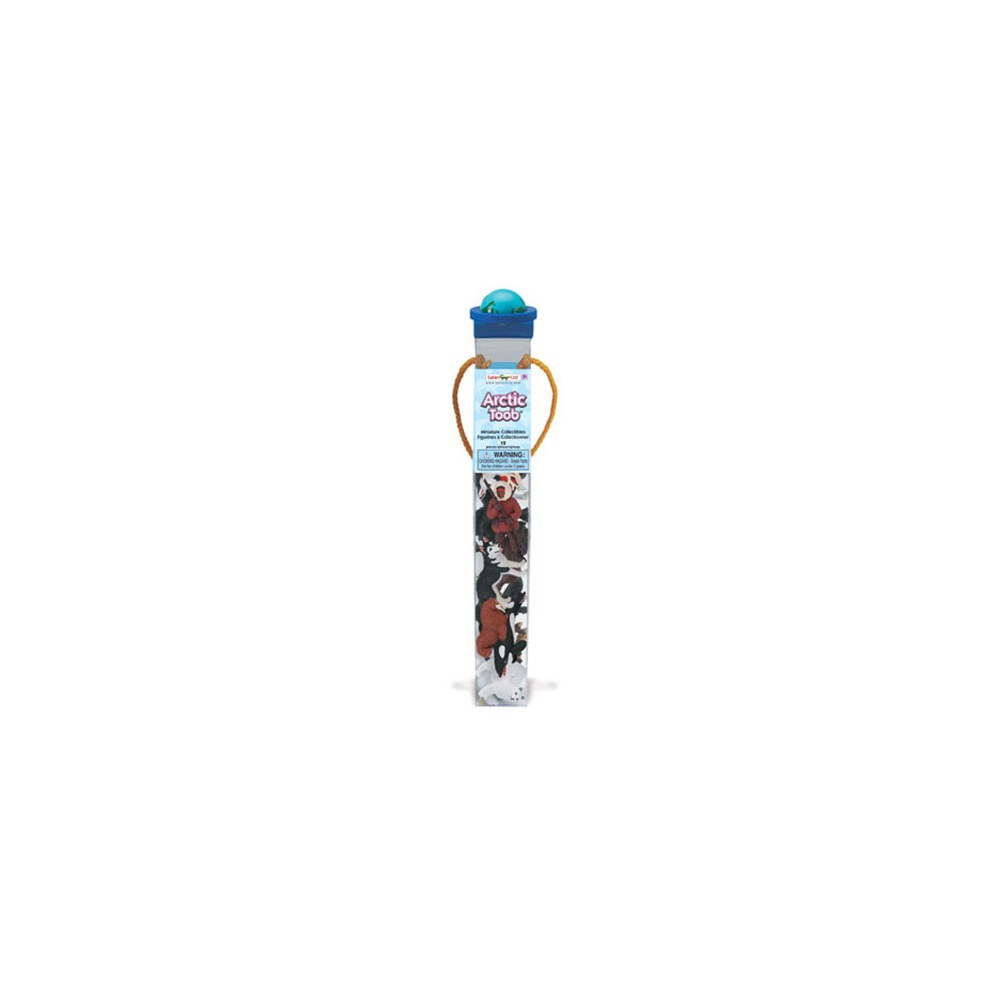 681604 Arctic