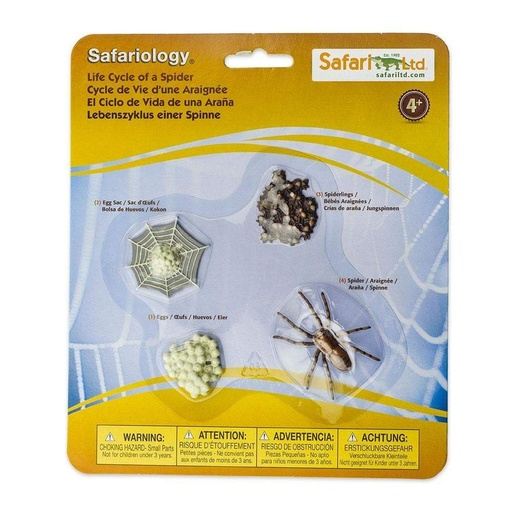 Safari Ltd Life Cycle of A Spider