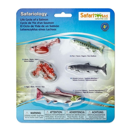 Safari Ltd Life Cycle of A Salmon