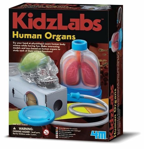 4M KidzLab Human Organs Science Experiment Kit