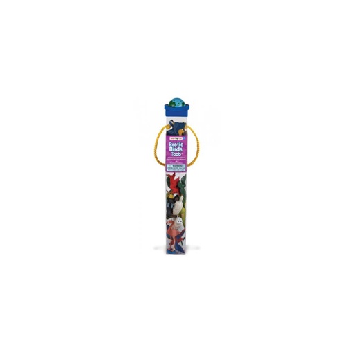 680404 Exotic Birds